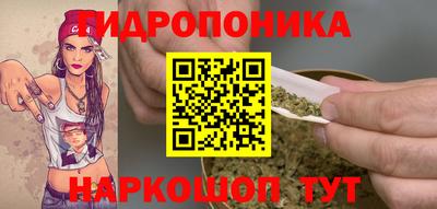 PSILOCYBIN Севастополь