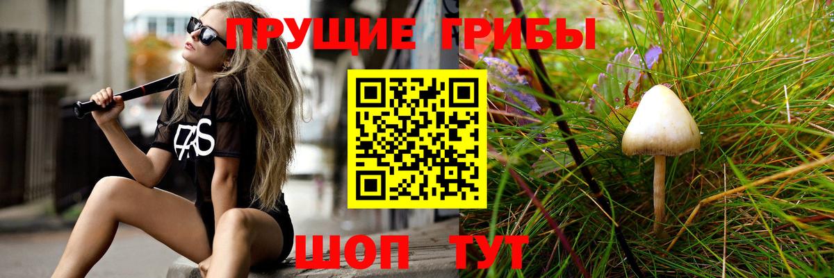 Галлюциногенные грибы GOLDEN TEACHER  Псилоцибиновые грибы прущие грибы  Нижнеудинск  Вход с VPN 